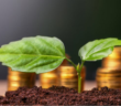 Bonos verdes, opción de financiamiento estatal