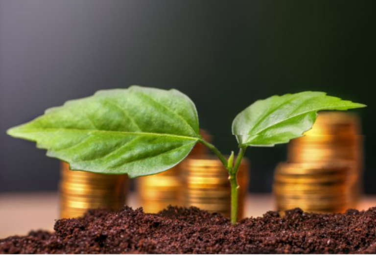Emisión de bonos verdes etiquetados registró cifra récord a junio de 2018