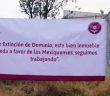 Ley de extinción de dominio, fundamental para combate a corrupción