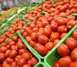 Tomate mexicano pagará arancel de 17.5% al entrar a EU