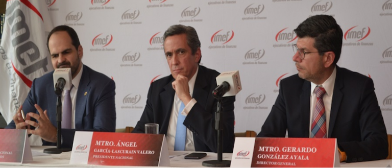 Conference Call-IMEF