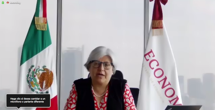 Buen Fin-Economia