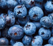 Economía defiende exportación de arándanos azules a EU
