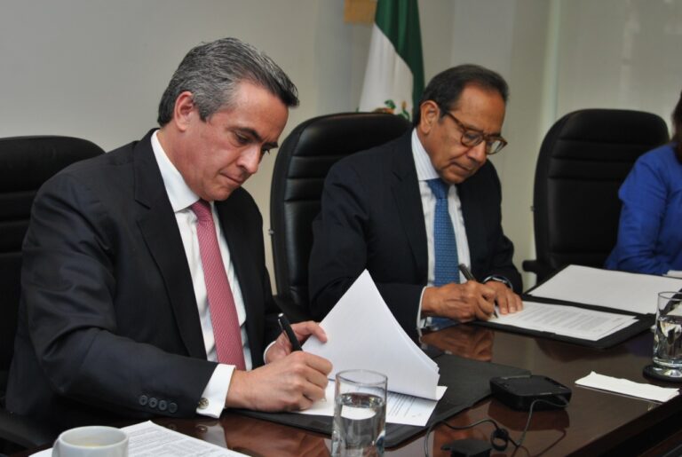 IMEF_CCE
