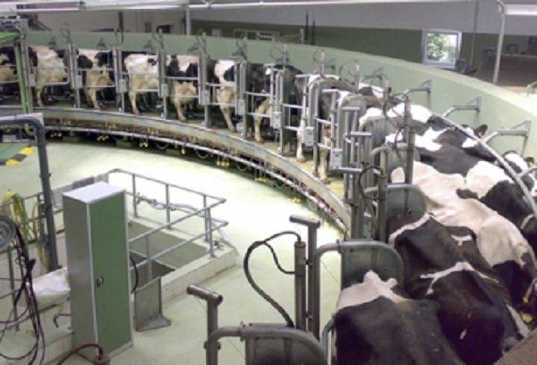 Suman a industria lechera mexicana a Federación Internacional Lechera