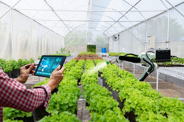 Crecerá agroindustria entre 6 a 7% en 2021