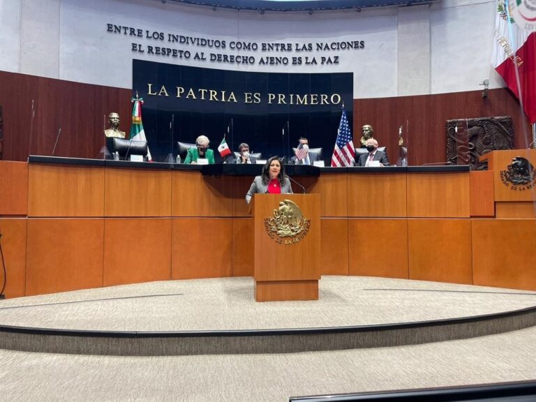 Senado_energia