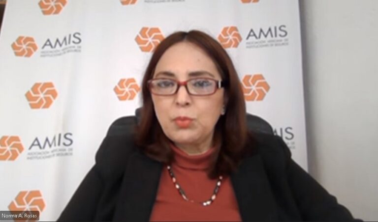 AMIS_Norma_Rosas