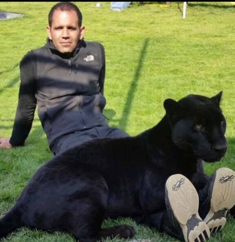 Eduardo_Jaguar_Negro