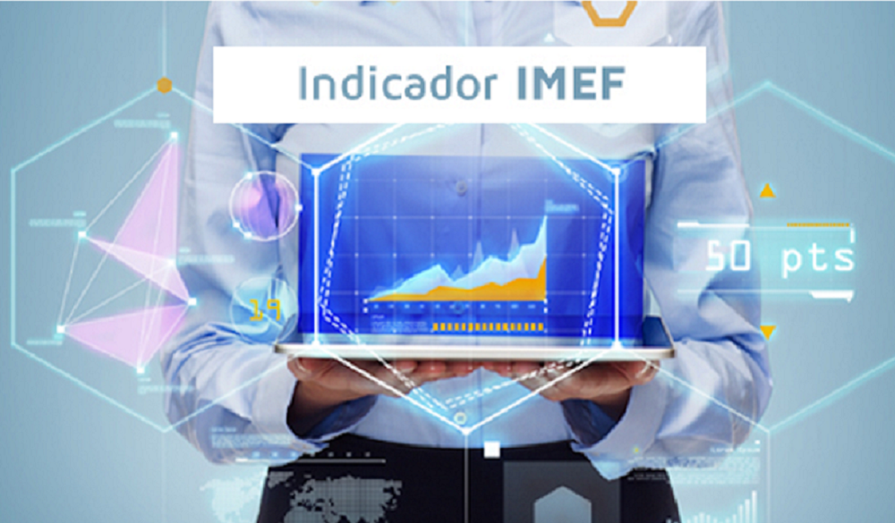 IMEF_indicadores