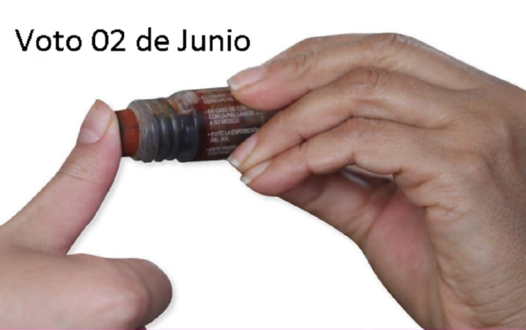 Voto_elecciones_Junio_2024