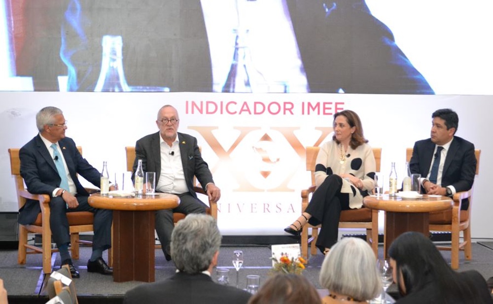 Indicador IMEF Delia Heath