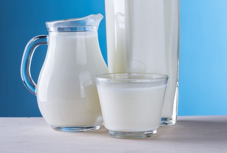 Leche y yogurt