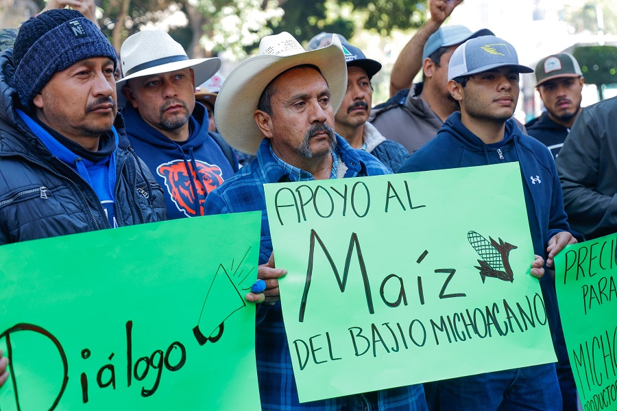 Pequeños productores maíz