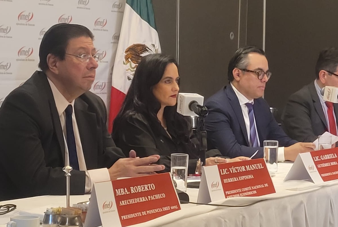 IMEF Enero 2025