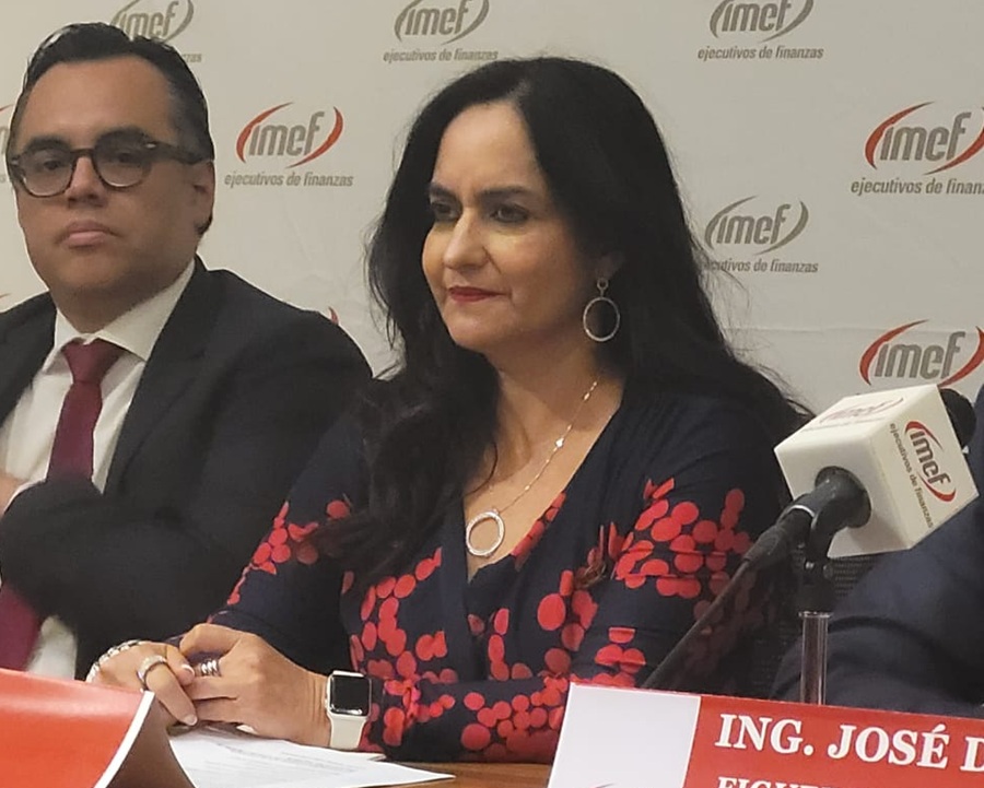 Presidenta IMEF impulsará educación financiera