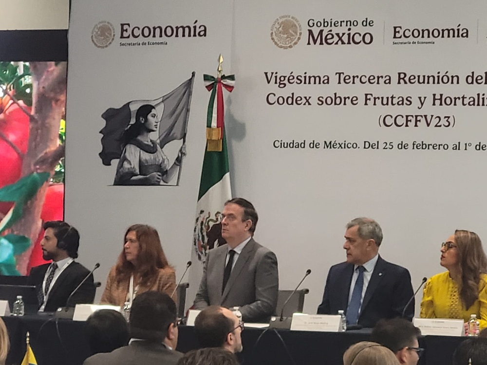 Marcelo Ebrard