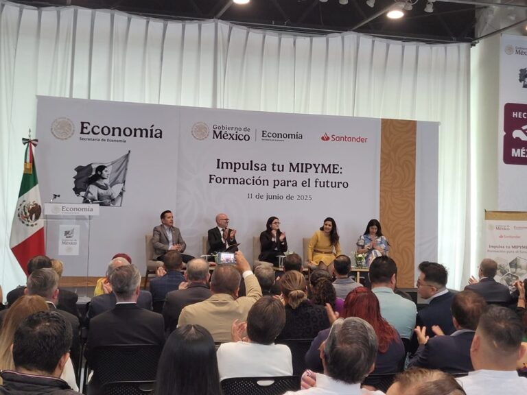 Mipymes