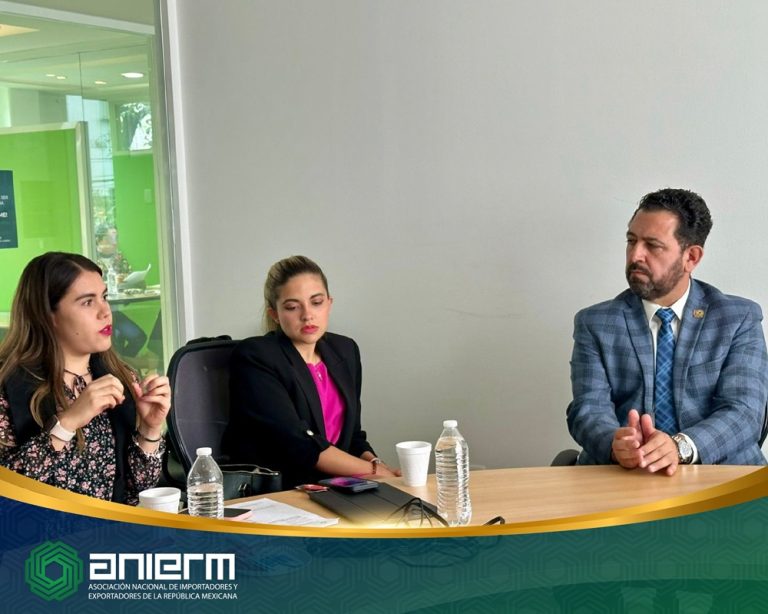 Gerardo Tajonar Castro, presidente ANIERM