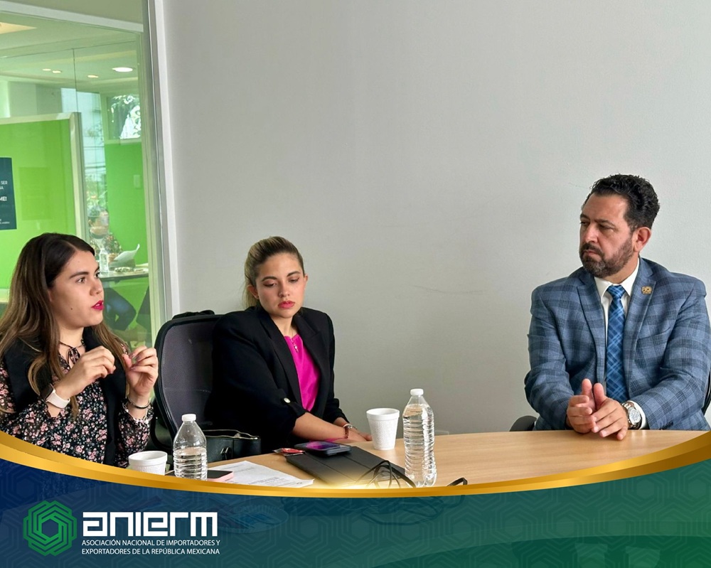 Menos inversión y exportaciones por aranceles: ANIERM