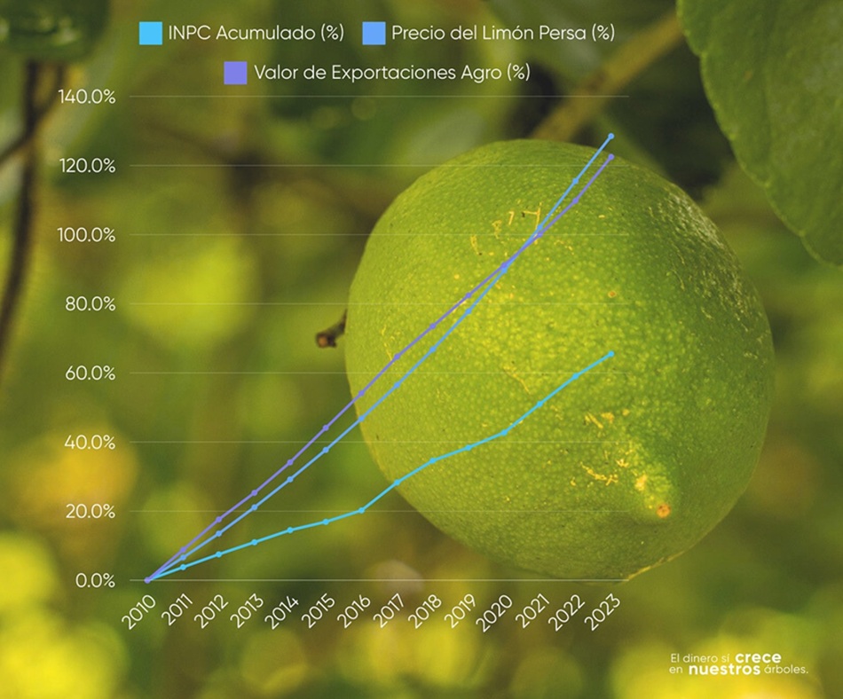 Citrus Patrimonial