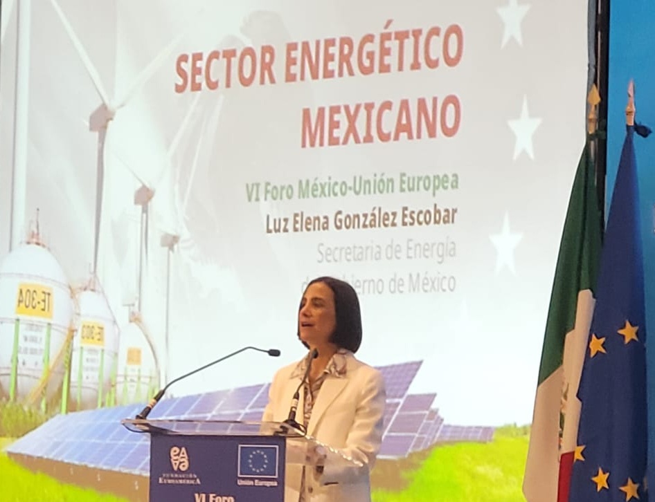 Luz Elena González Escobar, Sener
