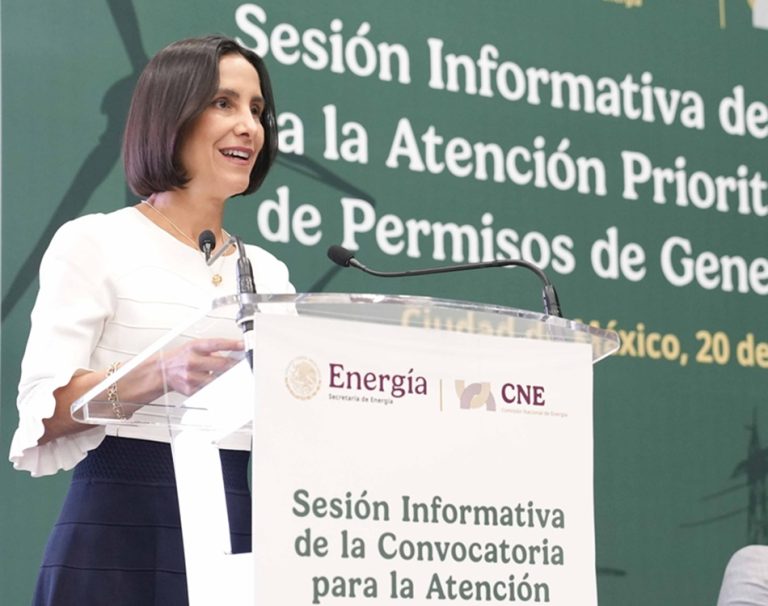 Luz Elena González Escobar, Sener