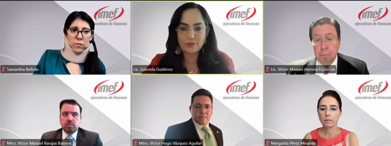 IMEF