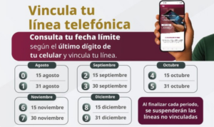 Vinculación teléfono celular